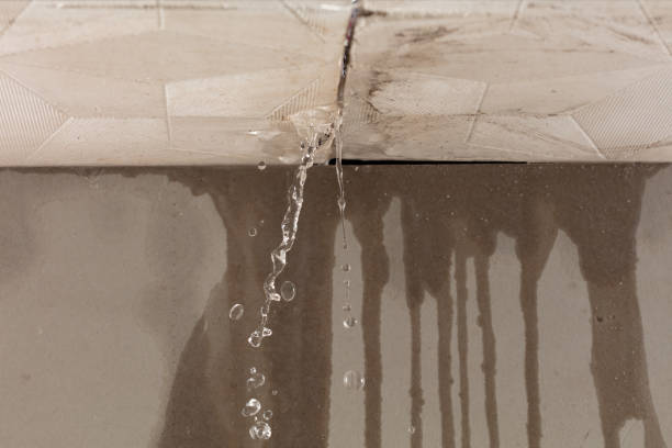 Professional Sewage Cleanup technician working in Minden, LA
